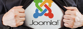 Joomla webudvikler søges!